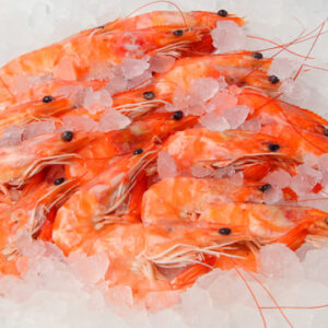 Frozen Seafood Shrimp